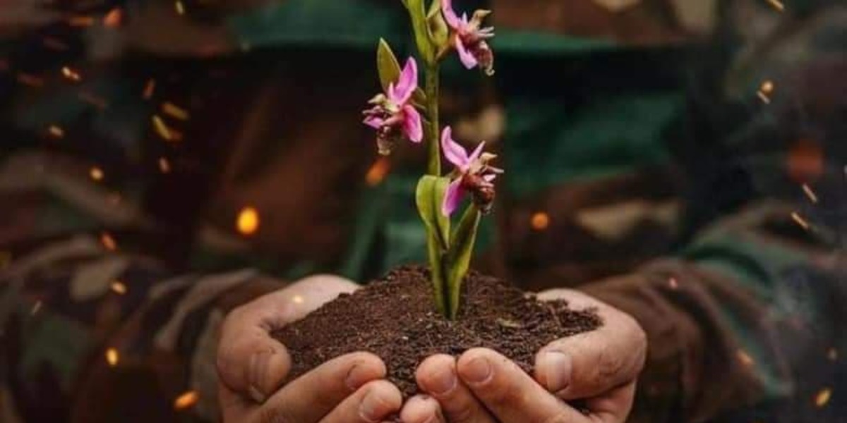 Парадоксы войны: Азербайджан развязав Карабахский узел придал новую жизнь глобальным проектам на евразийском пространстве 