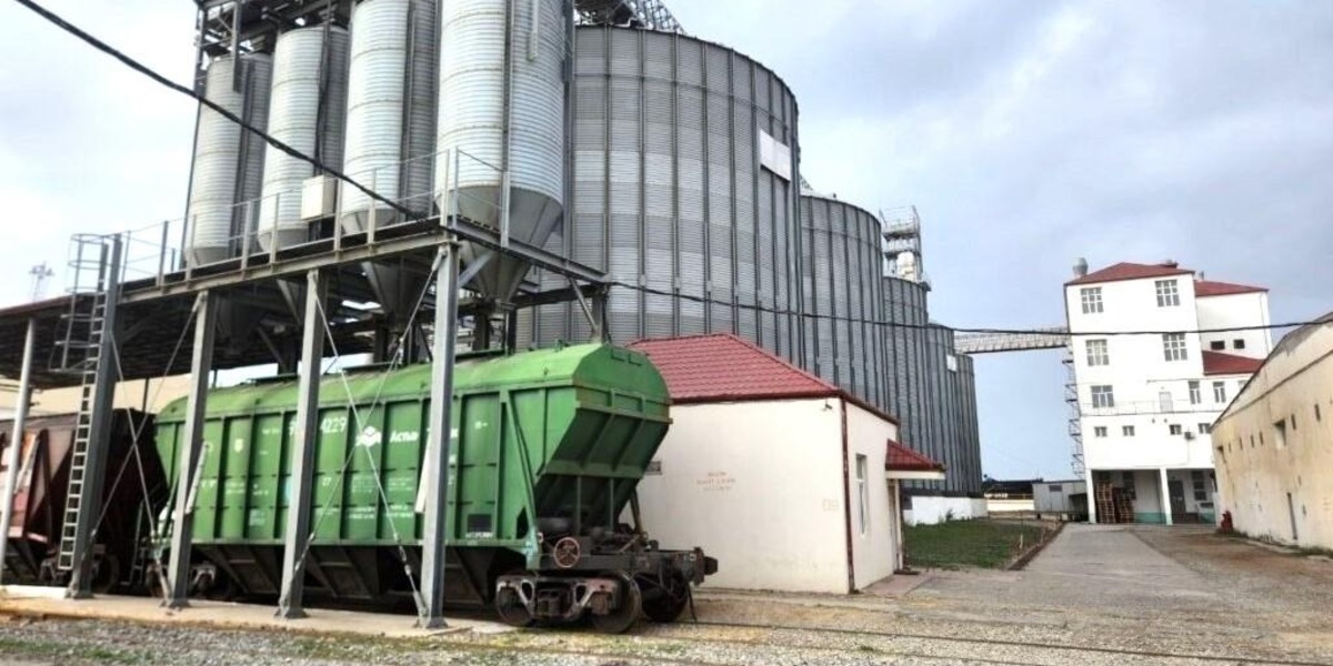 Казахстан и Азербайджан объединяют усилия по развитию Бакинского зернового терминала