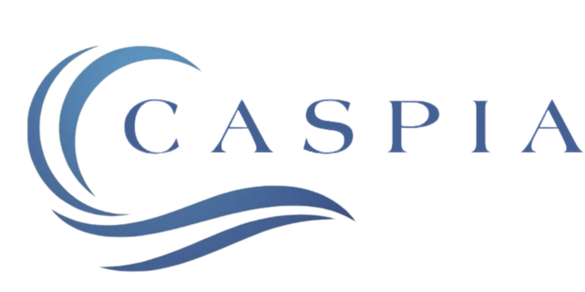 CASPIA is seeking experienced Research Fellows